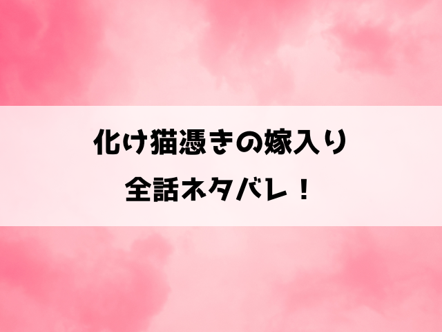 化け猫憑きの嫁入りネタバレ！化け猫が憑いている環の縁談から始まる愛の物語！